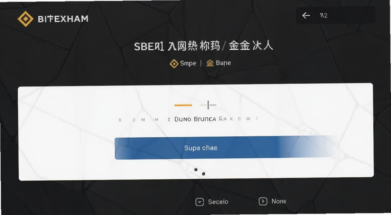 币安交易所入金界面操作截图预览图