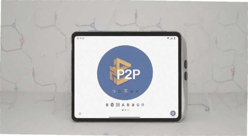 �Ұ�P2P���װ�ȫ�� �û���ʵ�������ؽ���