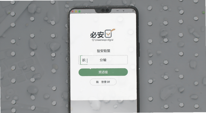 必安登录验证码输入界面预览图