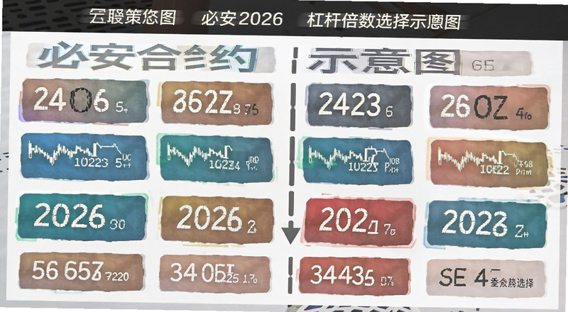 �ذ���Լ2026�ܸ˱���ѡ��ʾ��ͼ