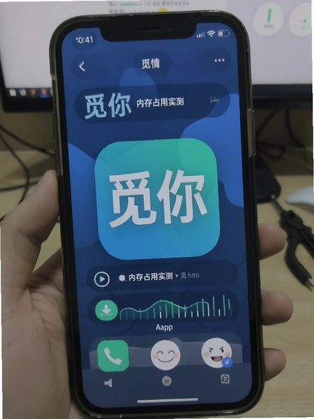 ����app�ڴ�ռ��ʵ��