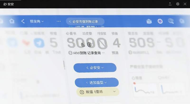 必安充值到账记录查询预览图
