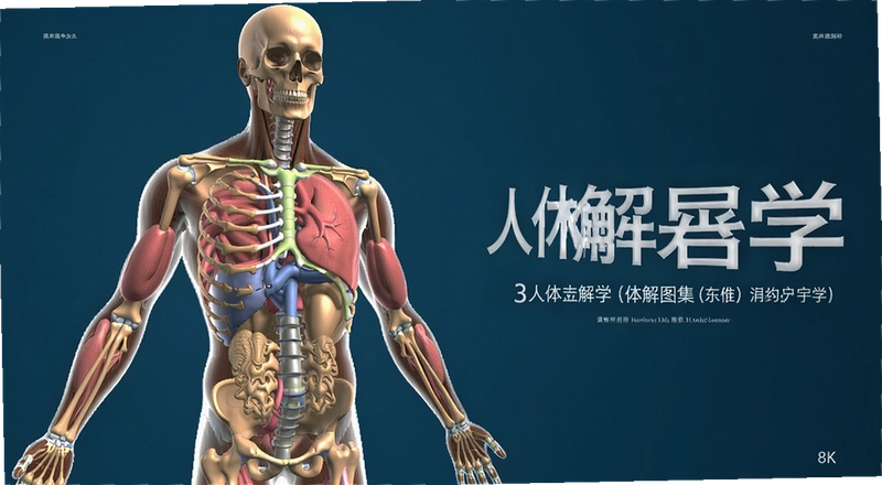 3D�������ѧͼ����ô�òŸ�Ч ����ѧͼ���ʺ�ҽѧ����