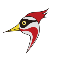 ��ҽ��v1.56