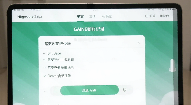 笔安充值到账记录页面预览图
