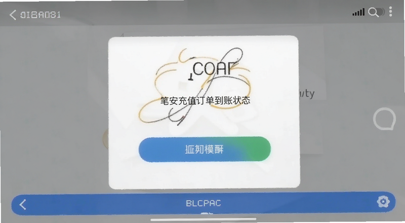 笔安充值订单到账状态截图预览图