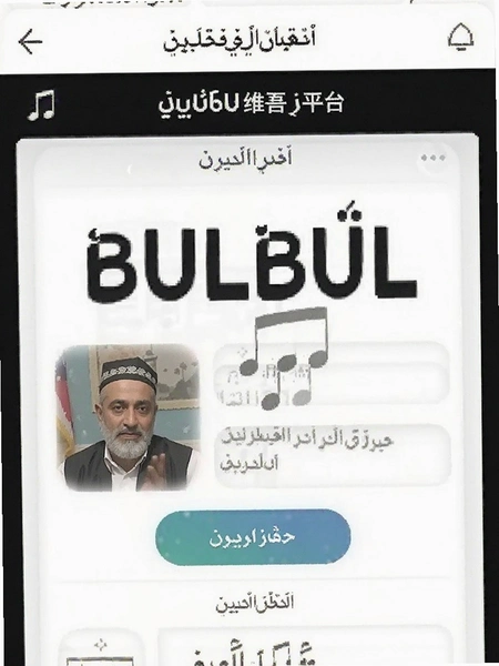 BULBULά���������ƽ̨����Ԥ��ͼ