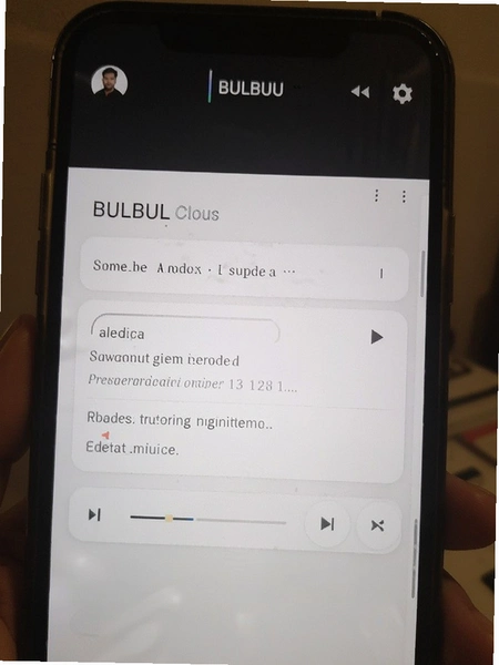 BULBUL���Ž��汶������