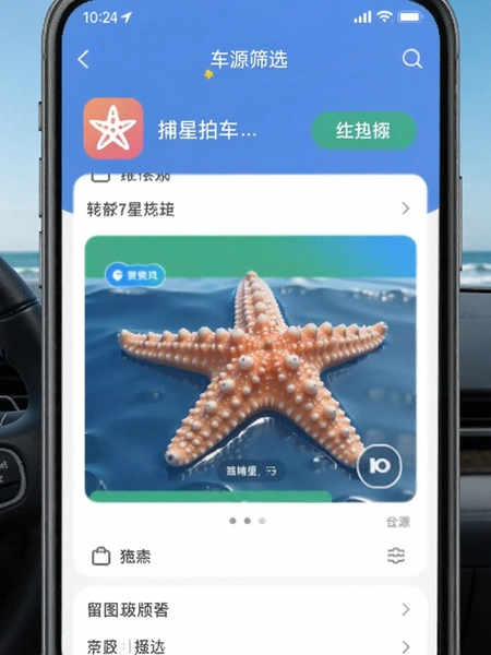 海星拍车APP车源筛选界面展示