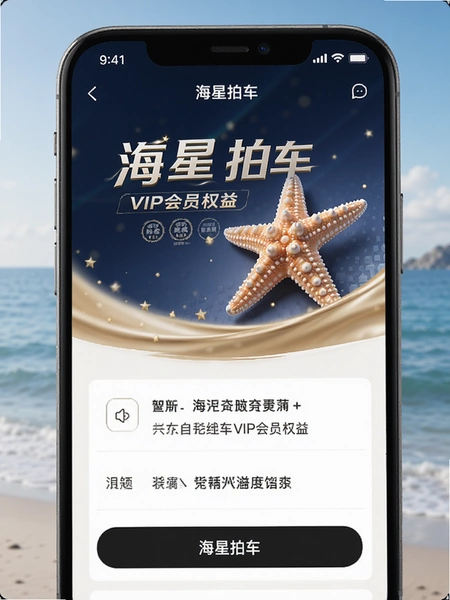 海星拍车VIP会员权益页面