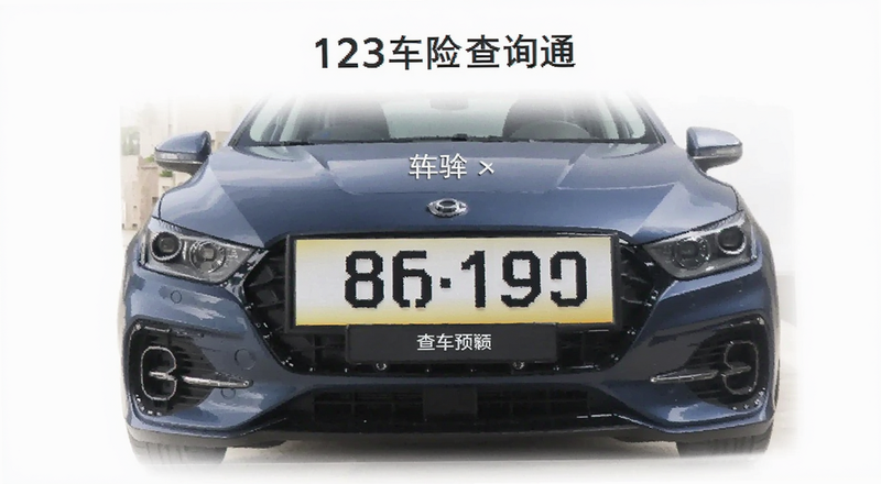 123���ղ�ѯͨ���복�ƺŲ�ѯԤ��ͼ
