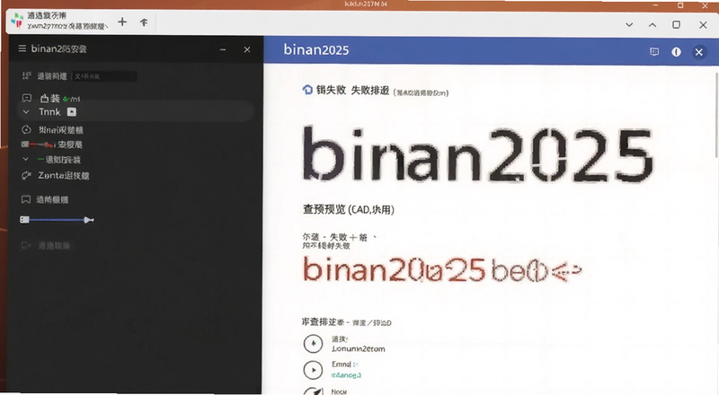 binan2025安装失败闪退问题排查预览图