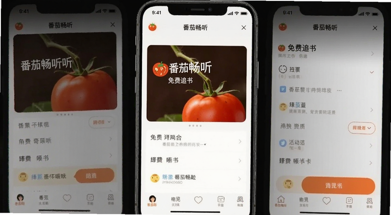 番茄畅听免费追书界面预览图