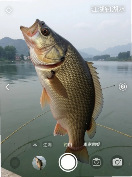 ������ˮӡ�������������