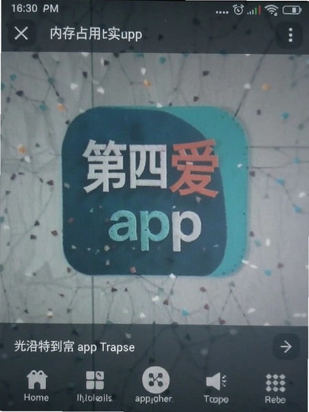 ���İ�app�ڴ�ռ��ʵ���ͼ