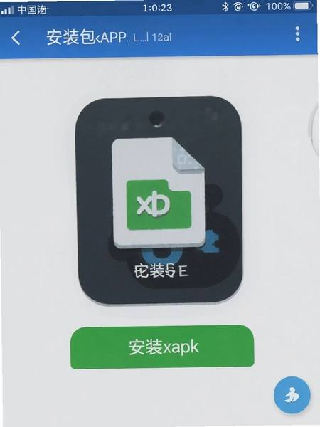 ��װ������APP��װxapk�ļ�������ͼ