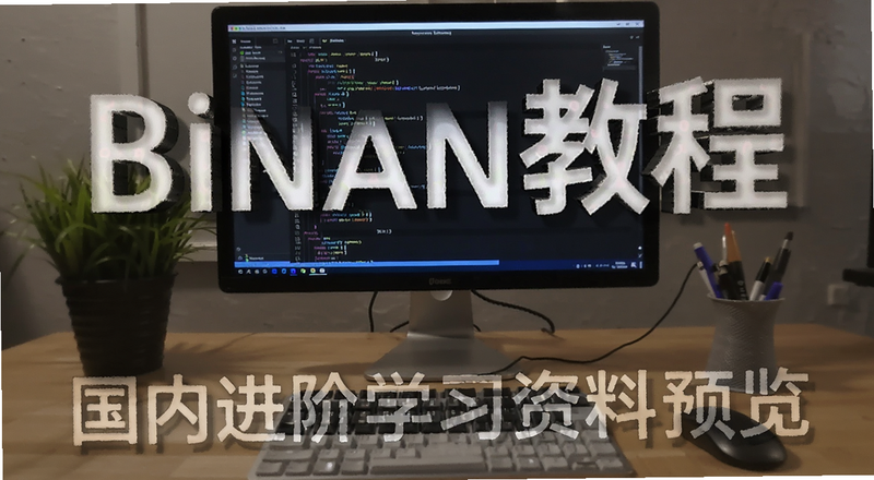 binan教程国内进阶学习资料预览图