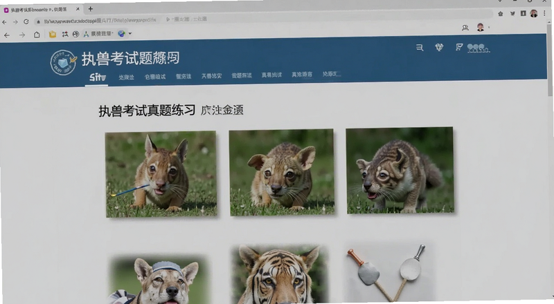 执兽考试真题练习页面预览图