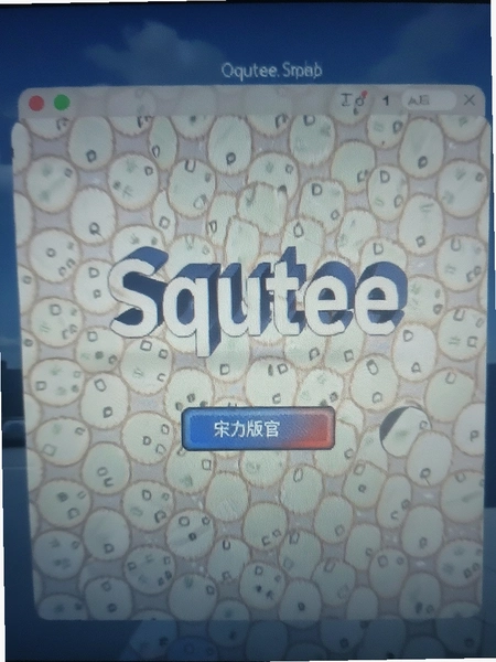 Squtee �ٷ�ԭ�� ��װ����