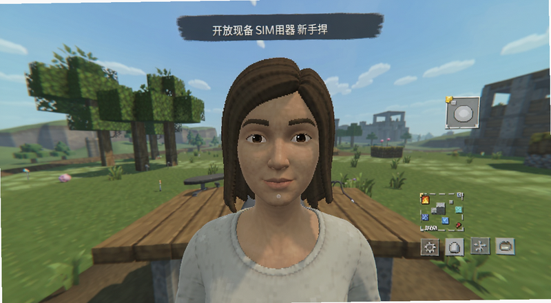 开放世界模拟器新手捏脸界面预览图