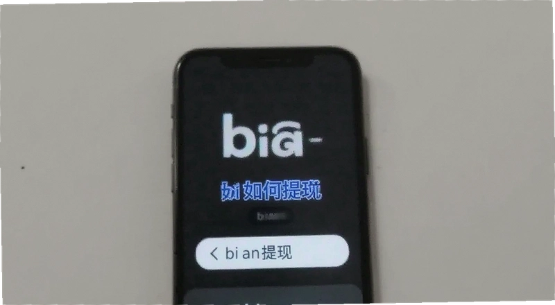 BI��������ô�����������