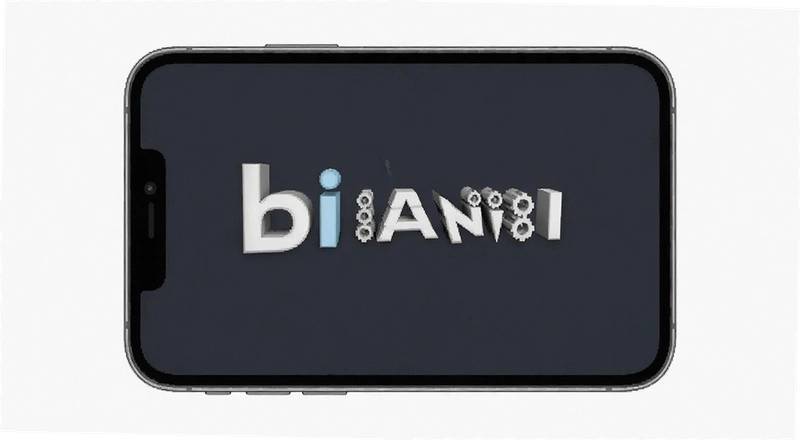 bi an�������µ���ʱ�估ʧ�ܽ������2025