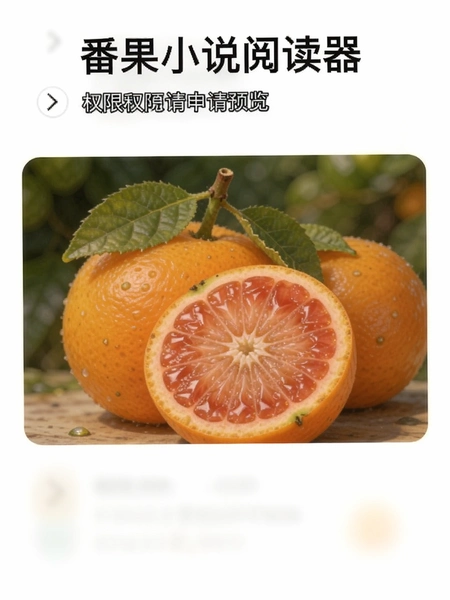 ����С˵�Ķ���Ȩ������Ԥ��ͼ