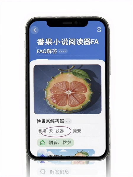 ����С˵�Ķ���FAQ���ҳ��ʾ��ͼ