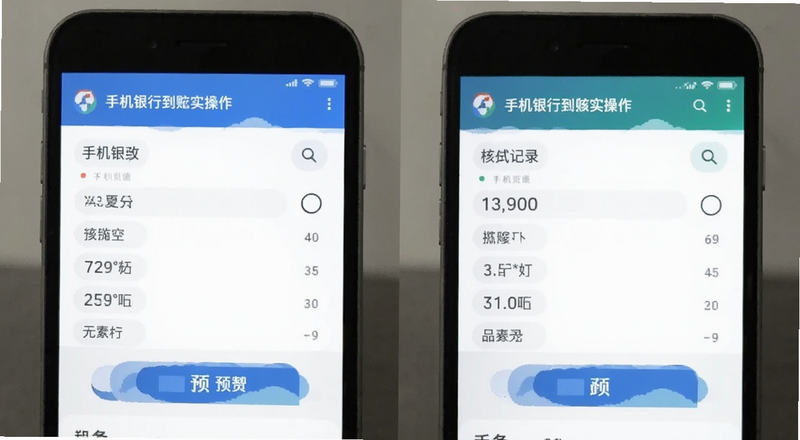 手机银行到账记录核实操作预览图