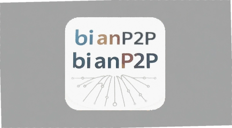 P2P���ڱ��׺�bi anP2P����׷����