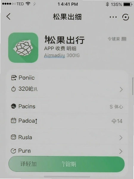 �ɹ�����APP�շ���ϸ�����ͼ