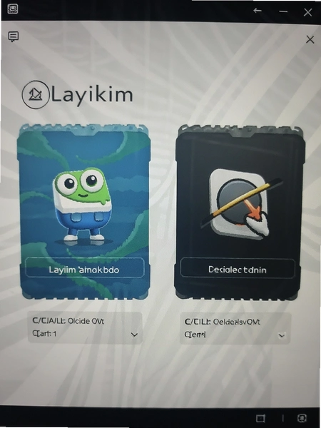 Layikim��װ����С�ʹ洢ռ����Ϣ