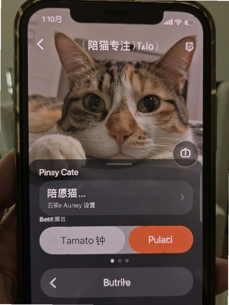 陪猫专注 番茄钟时长设置界面预览图