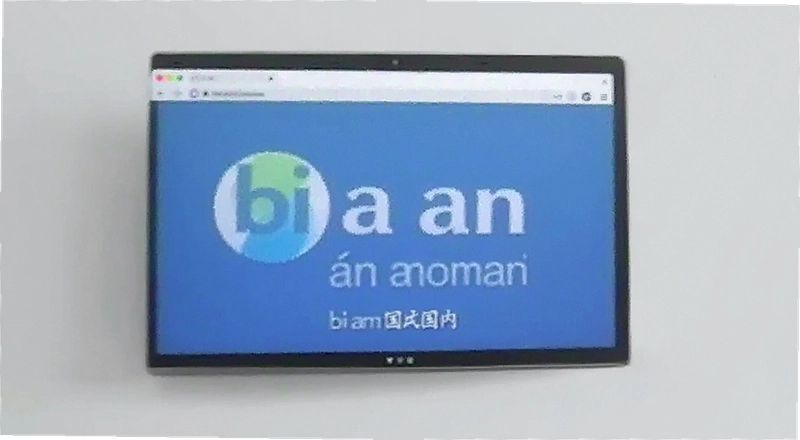 BI AN�������������ô�� ����������