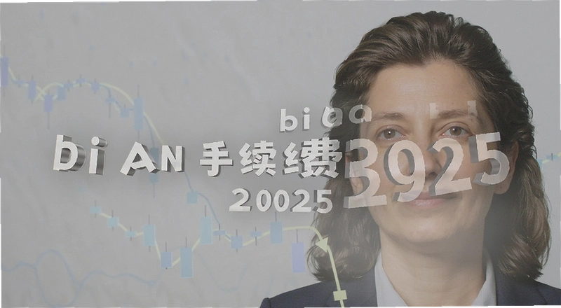 2025��bi an�����Ѷ��� �Ұ�����������2025�������շ�