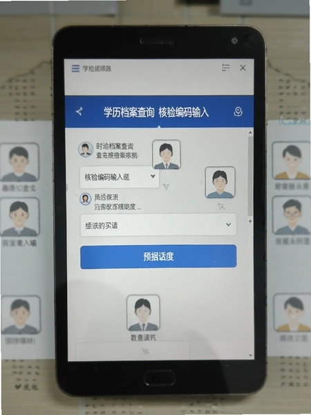 学历档案查询 核验编码输入界面预览图