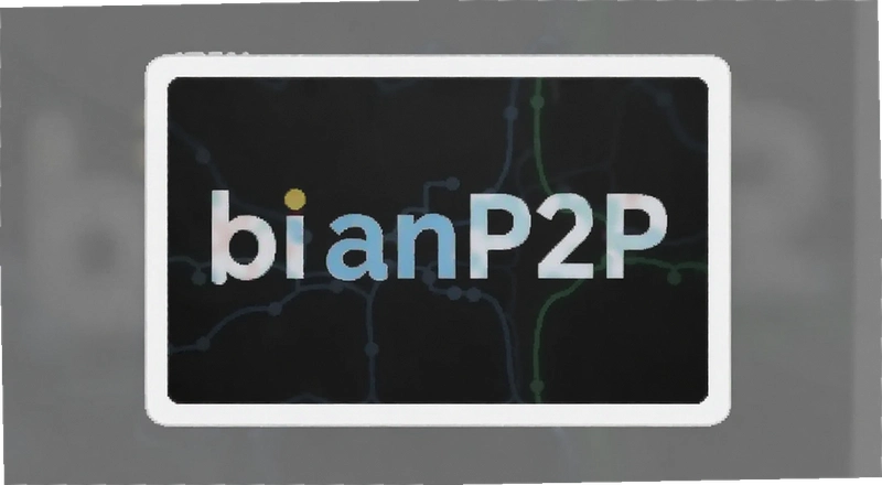 ���ر�P2P��ô���� ���ر�P2P���װ�ȫ�� ���ر�P2P��ô
