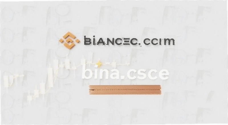 �����û���ô��Binance����ע���˺�