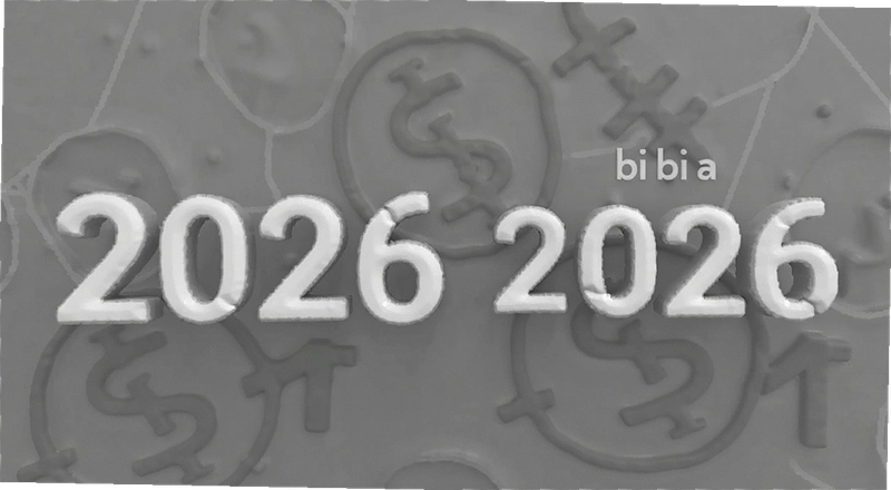 2026��bi an��������ô�� ���·��ʱ�׼�볣��������