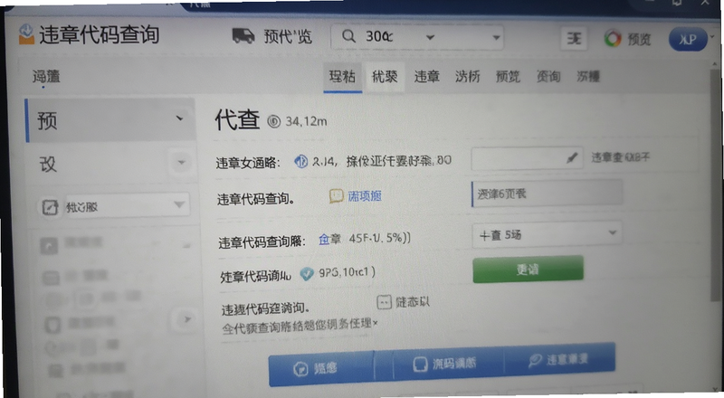 违章代码查询界面预览图