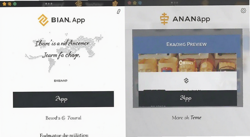 币安APP入金页面截图预览图
