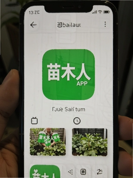 ��ľ��APP���䰲׿�ֻ����н�����ľ��