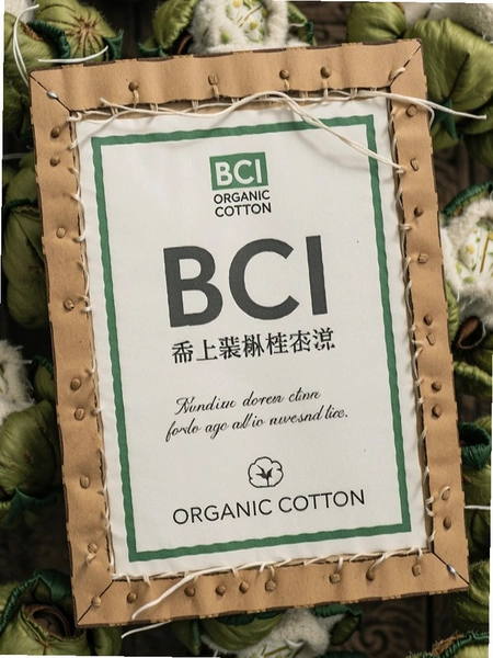 �첼 BCI�л���֤��