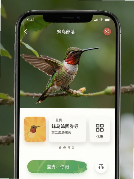 ������APP��ҳ�Ż�ȯ����