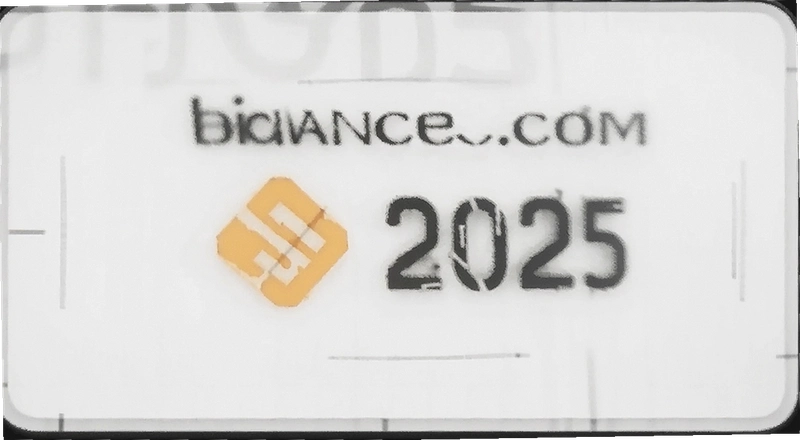 2025��Ұ���ֵ�̳� ������ο��ٵ��� ����������