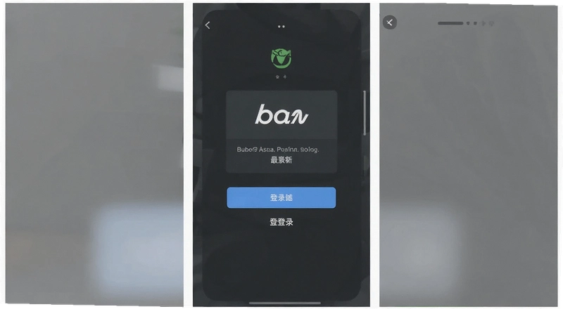 B����¼����������� 2025��B��������¼��������������