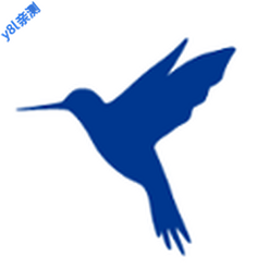 HttpCanary�߼�������v9.9.9.9