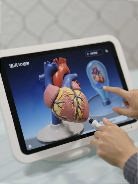 ��ŵ3D�ӽ� ��������ģ�ͻ�������