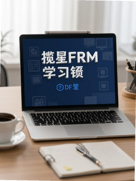 揽星FRM学习资料PDF预览
