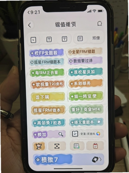 揽星FRM错题本标签管理界面